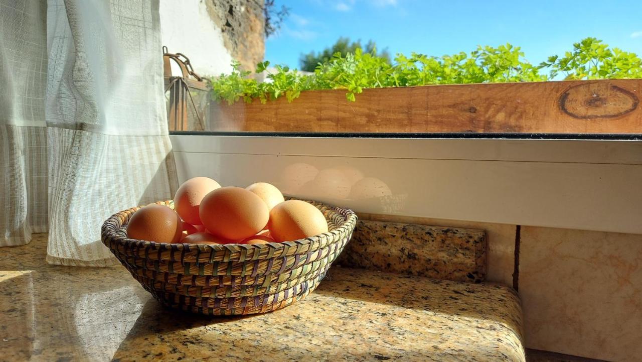 Casa Natura Ainhoa La Oliva Exterior foto